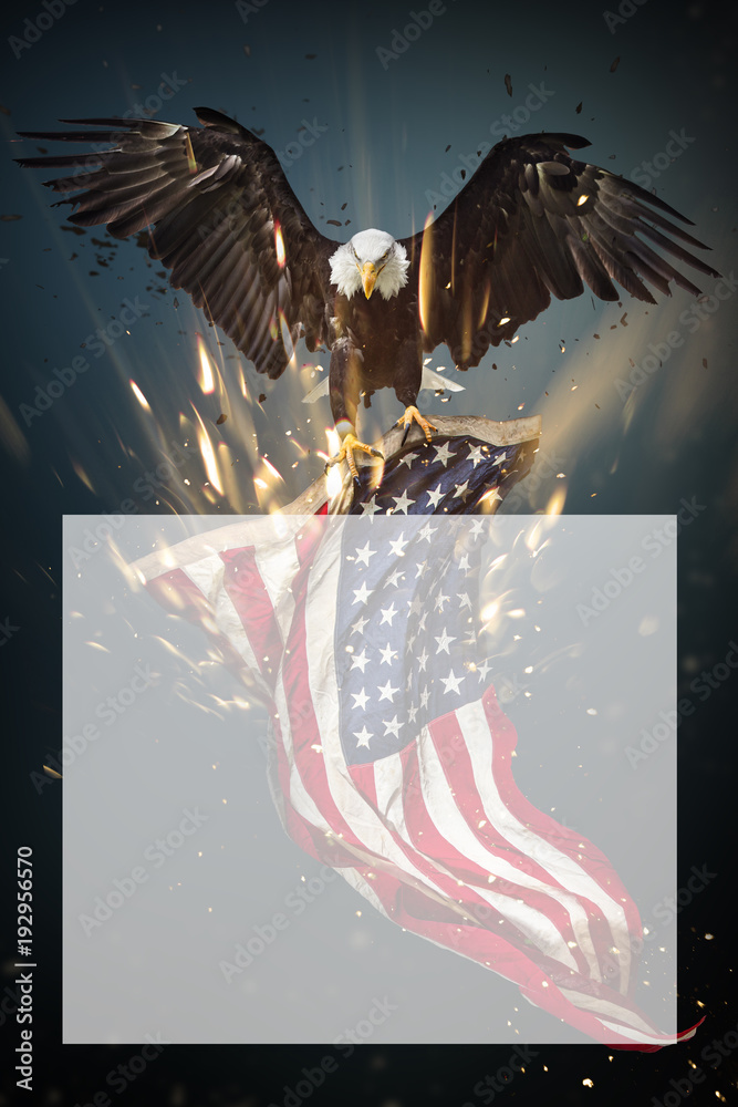 Obraz premium American Bald Eagle flying with Flag.