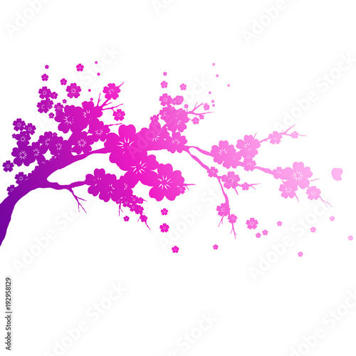 pink flowers tree, spring blossom, on a white