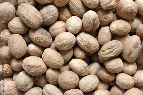 Cuadro en lienzo A beautiful and large nutmeg, close-up from a seller in the market