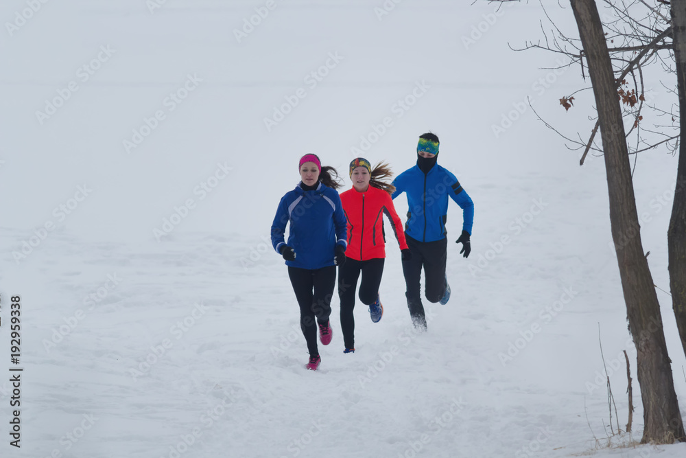 Group of athletes jogging in winter forest