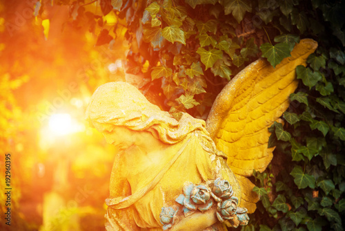 Obraz na płótnie The figure of an angel in a golden glow. Symbol of love, invisible forces, purity, enlightenment, ministry. Guard. Place for the inscription. w salonie
