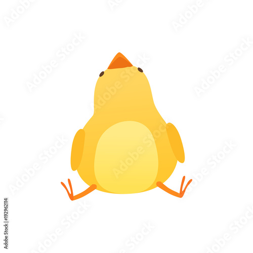 Cute baby chicken sitting on the floor and looking up, funny cartoon bird character vector Illustration on a white background
