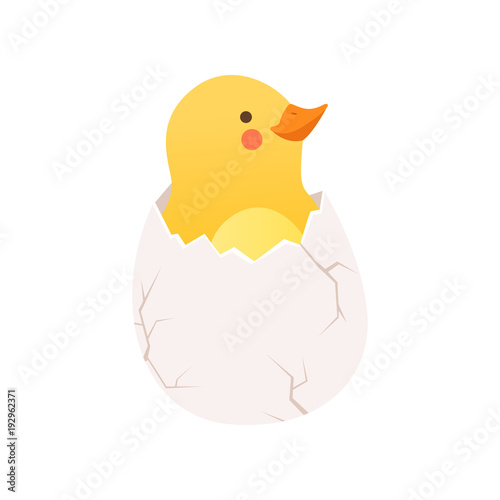 Cute baby chicken hatching, funny cartoon bird character sitting in egg shell vector Illustration on a white background