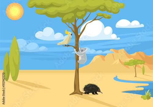 Australia wild background landscape animals cartoon popular nature flat style australian native forest vector illustration.