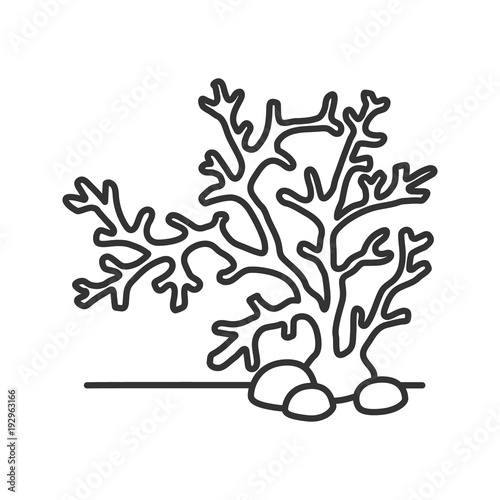 Aquarium plant linear icon