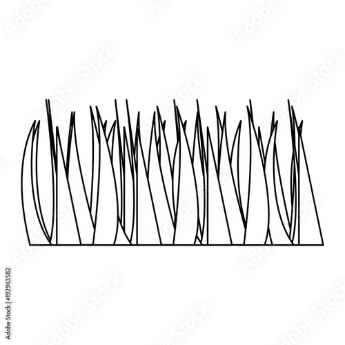 green grass frond natural foliage icon vector illustration
