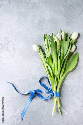 Bouquet of white spring tulips with leaves and blue ribbon over grey texture background. Top view  space. Spring greeting card