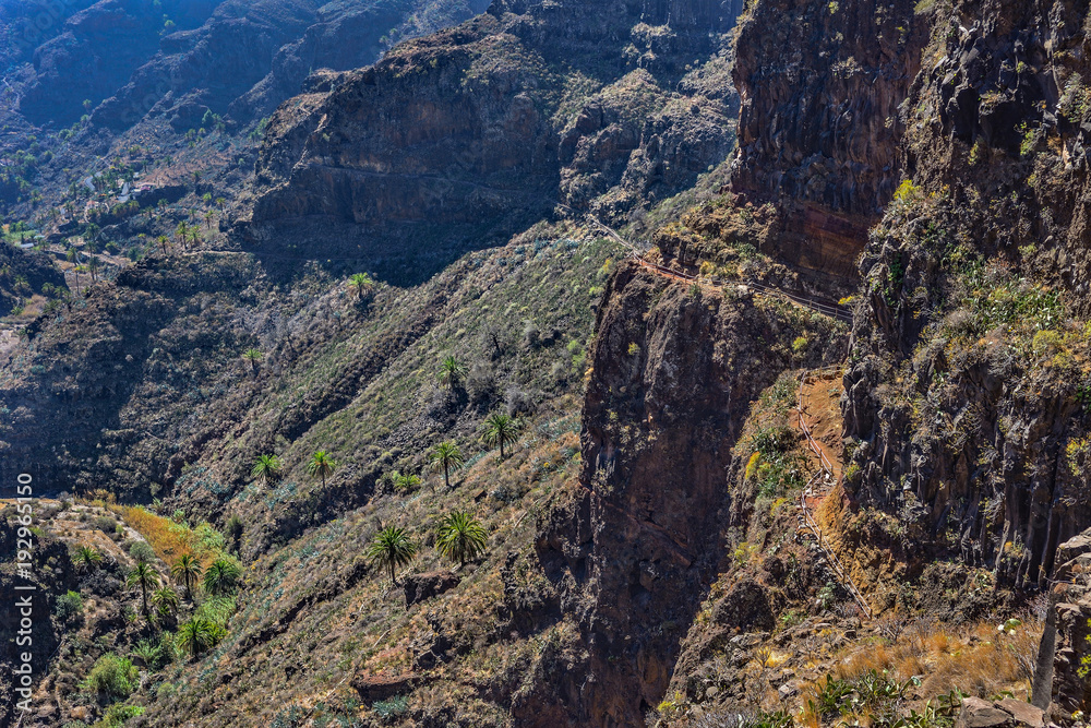 Spain Gomera island Barranco de Guarimiar