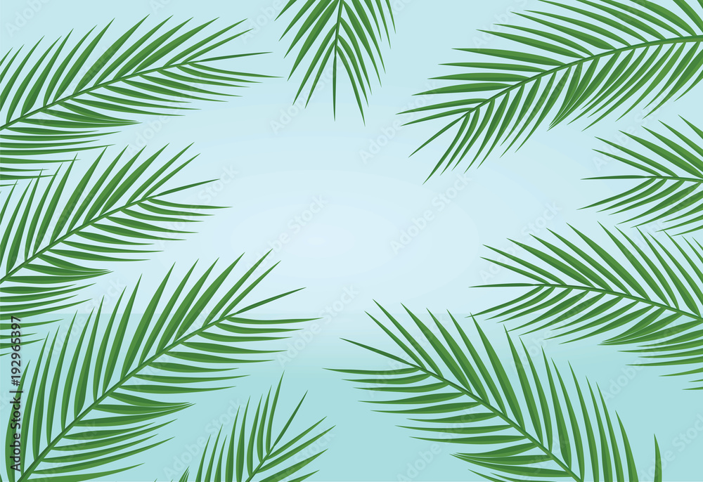 Palm leaves background. vector illustration
