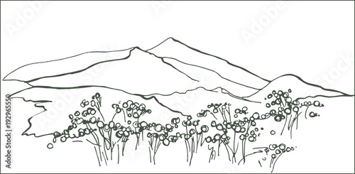 Landscape of South Korea. Korean mountains. Blooming azalea in the mountains. Chirisan Mountains
