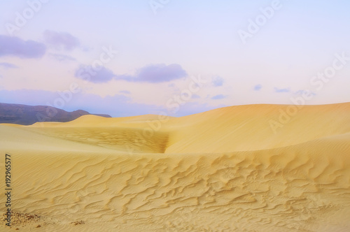 Desert landscape with landscape lines, gentle evening colors. 