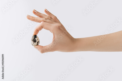 cropped image of hand holding quail egg on white background