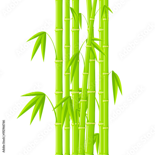 Fototapeta Naklejka Na Ścianę i Meble -  Stems of bamboo in simple style on white background