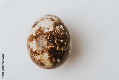 quail egg laying on white background