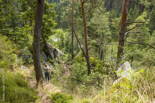 Black Forest in Germany