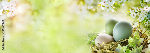 Easter eggs with sunny spring background