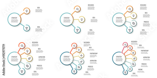 Business infographics. Organization charts with 3, 4, 5, 6, 7, 8 options. Vector template.