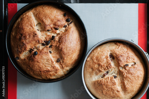 Freshly baked traditional German Easter Bread, Osterbrot, made of Brioche yeast dough with raisins, eggs, milk, flour, yeast and butter in round cake tins on non-stick silicone baking mat photo