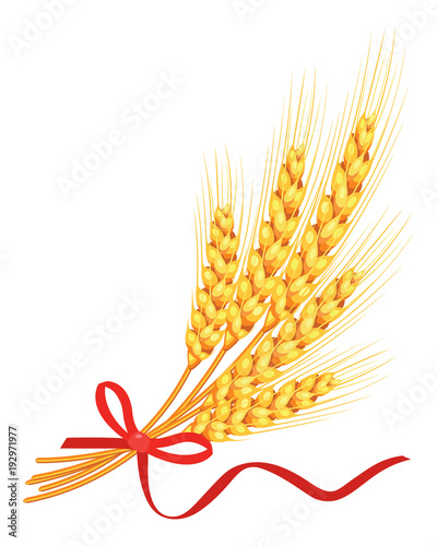 Vector wheat with red ribbon on white background isolated. Vector.