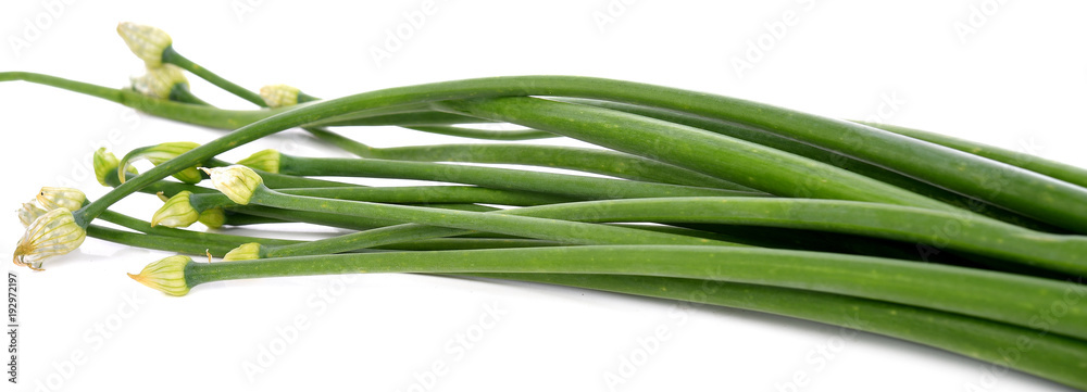Chives flower on white background Chives flower on white background