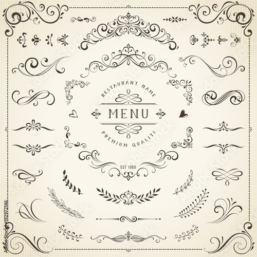 Calligraphy swirls, swashes, ornate motifs and scrolls. Vector illustration.