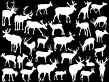 thirty deer silhouettes on black