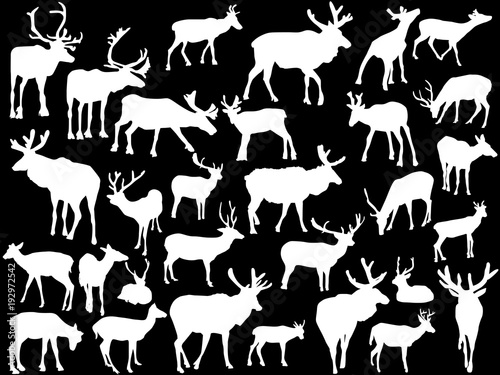 thirty deer silhouettes on black © Alexander Potapov