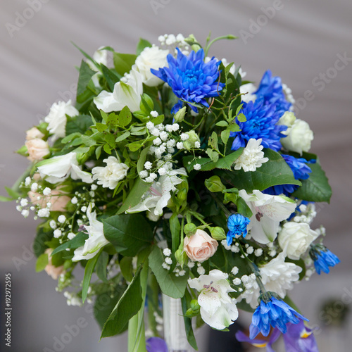 букет из белых и синих цветков