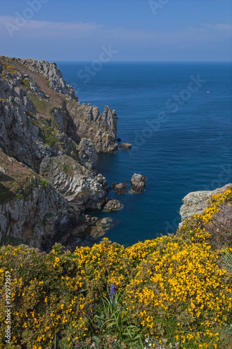 Rocky promontory Pointe du Raz, covered with yellow wildflowers, and small boat in boundless sea, Brittany, France