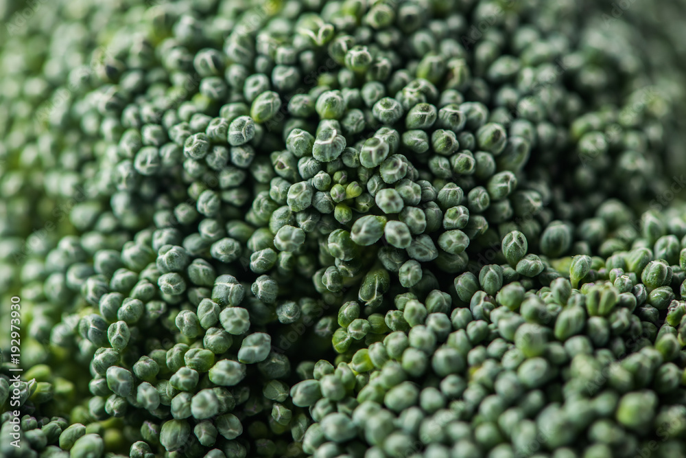 Close-up shot of broccoli cabbage florets Close-up shot of broccoli cabbage florets