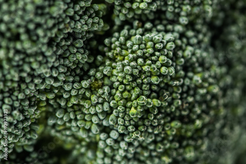 Close-up shot of broccoli cabbage florets © LIGHTFIELD STUDIOS