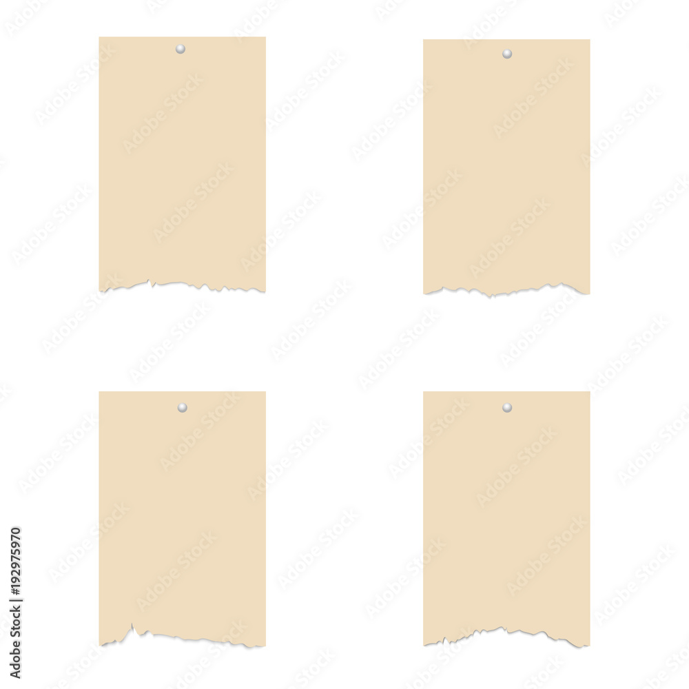 Set of realistic pieces of ripped papers for your design. Vector.