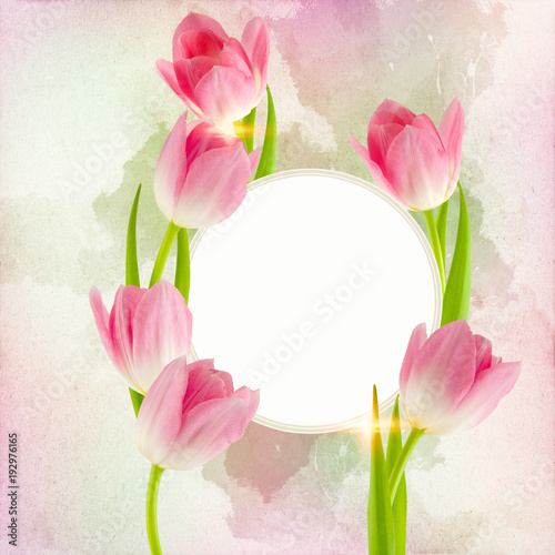 Fototapeta Naklejka Na Ścianę i Meble -  beautiful fresh tulips decorated on a free field can be used as background or as an invitation card free space for your text