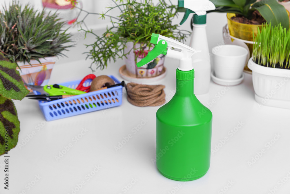 Pulverizer for spraying domestic plants. Pulverizer for spraying domestic plants.