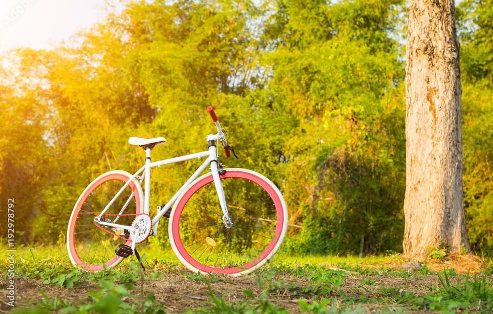 White bicycle on green nature background while sunset times, hobbies and leisure