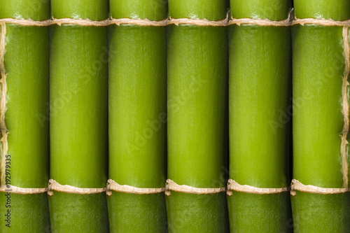 green bamboo, close-up, decorative frame