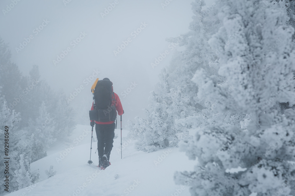 Man snowhoeing with a backpack in the foggy forest.