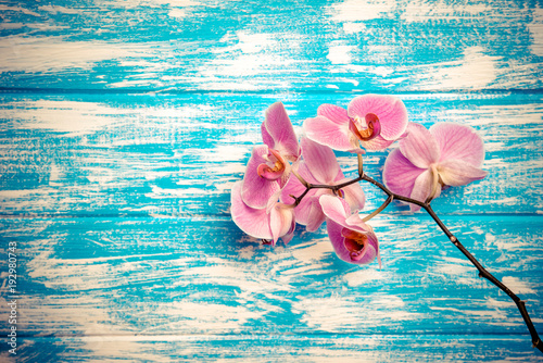 Branch of a purple orchid lies on a blue wooden background 