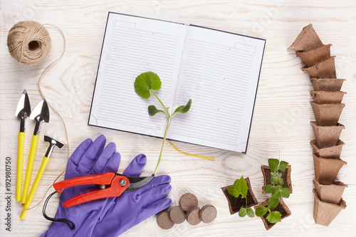 Gardening tools and seedlings.