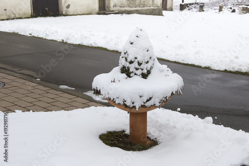 Planting bowl covered with snow in the front yard of a house photo