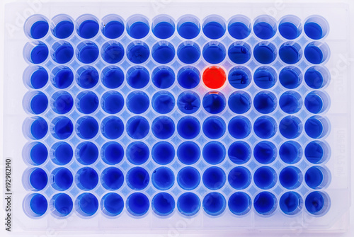 Laboratory test plate. 96 well microplate. medical or microbiological test of blood or dna. test of cancer or virus photo