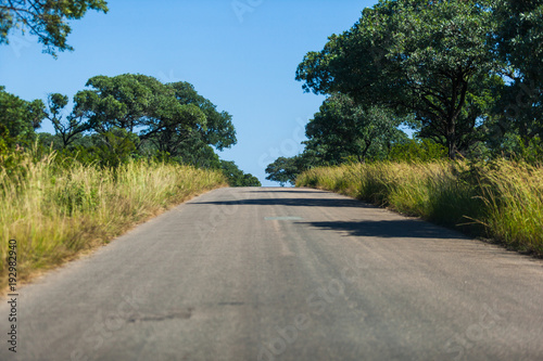 A long tar road in the Kruger Park, South Africa.
