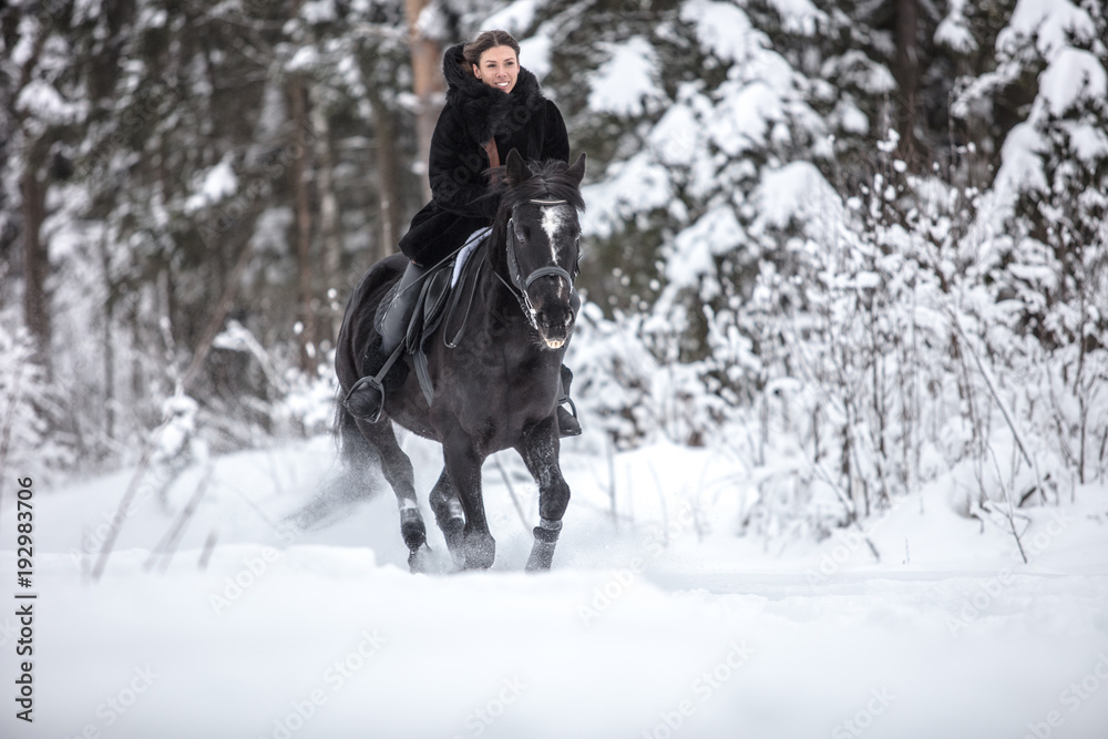 Fototapeta premium Black Horse running in snow on Winter background