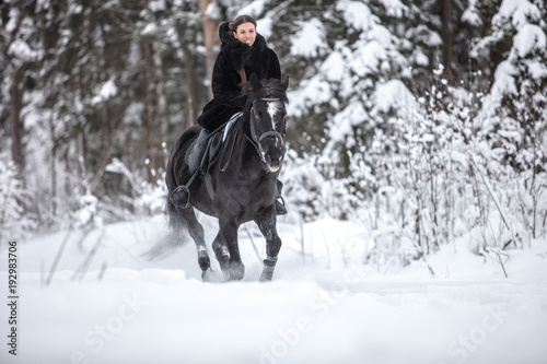 Black Horse running in snow on Winter background