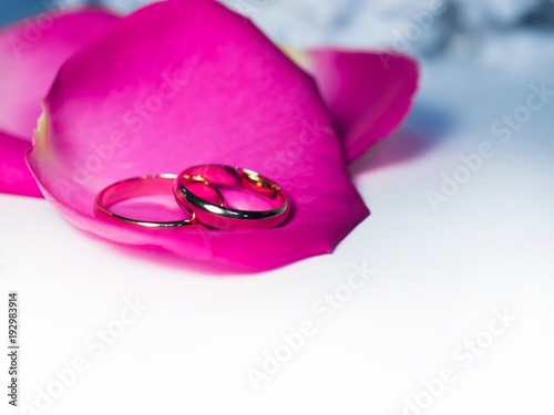 Wedding rings on white background