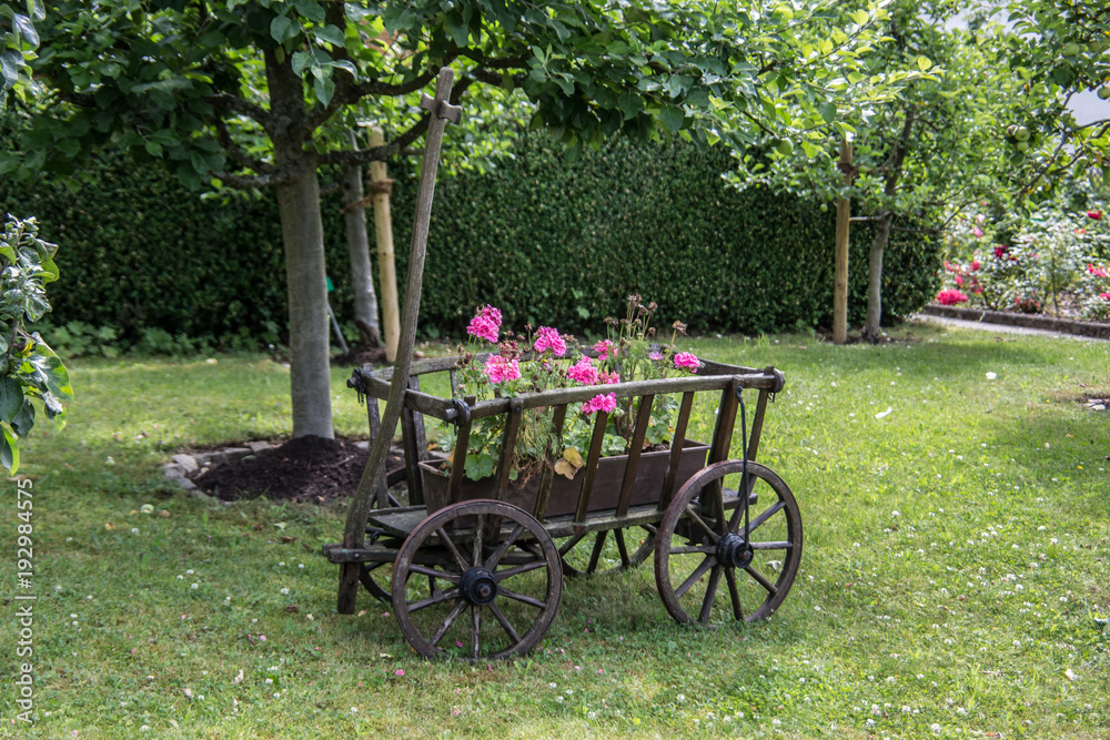 Garten mit Leiterwagen als Blumenkübel