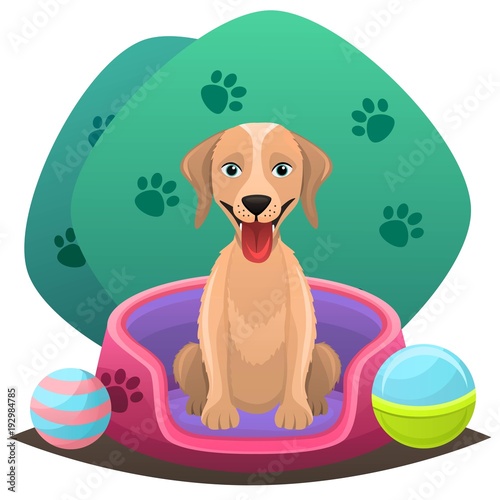 Pet shop concept. Animal grooming salon illustration.Dog sitting in a foam bed with toys,balls around.Vector illustration