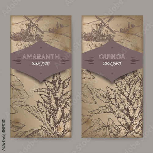 Set of two labels with Amaranthus cruentus aka amaranth and Chenopodium quinoa sketch. Cereal plants collection. photo