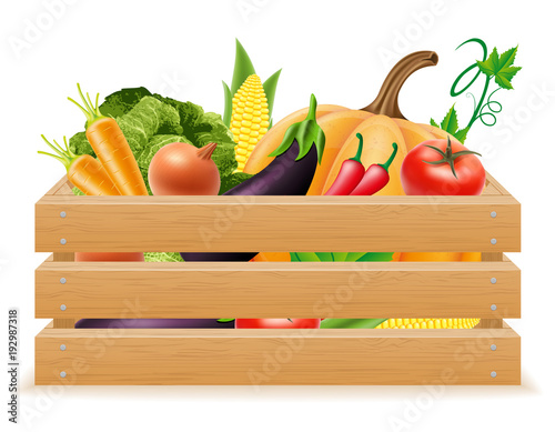 wooden box with fresh and healthy vegetables vector illustration