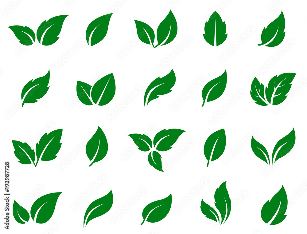 set of green leaves - obrazy, fototapety, plakaty 